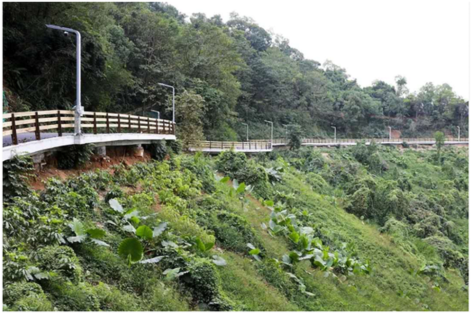 工业级交换机在智慧路灯中的应用现场.png